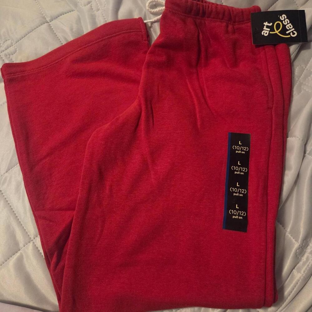 Unisex big kids sweat pants. Art Class size large